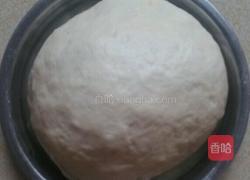 香煎肉饼的做法图解1