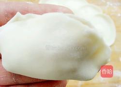 茄子鸡蛋水饺的做法图解18