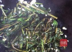 蒜蓉枸杞芽的做法图解5