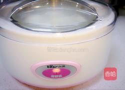 自制酸奶的做法图解3