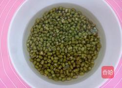 自制豆芽的做法图解2