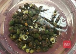 白灼青螺的做法图解2