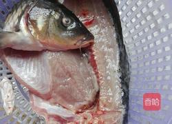 西红柿炖鲤鱼的做法图解1