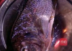 红烧福寿鱼的做法图解1