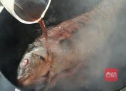 红酒蘑菇炖鲤鱼的做法图解5