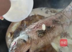 红酒蘑菇炖鲤鱼的做法图解9