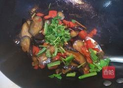 红椒茄子的做法图解10