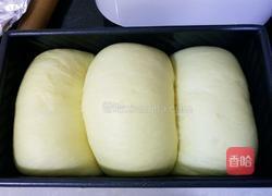 牛奶土司的做法图解15