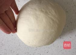 菜鸟如何用酵母发面团的做法图解6