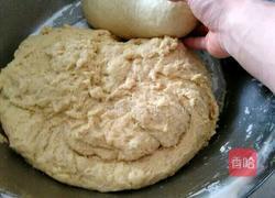 麻花的做法图解1