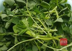 凉拌苜蓿（草头）的做法图解1