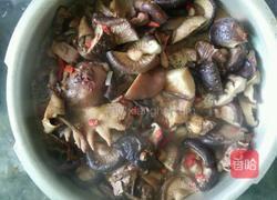 东北小笨鸡炖蘑菇的做法图解7