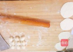 小白菜猪肉锅贴的做法图解7