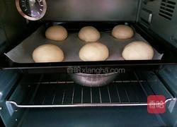 香酥鸡排汉堡的做法图解11