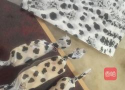 手工牛轧糖的做法图解8