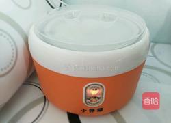 自制酸奶的做法图解6