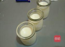 自制酸奶的做法图解9