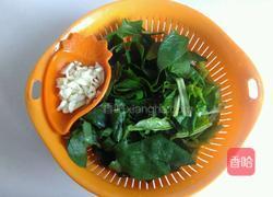 蒜末菠菜的做法图解2