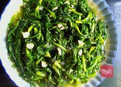 蒜香菊花菜的做法图解4