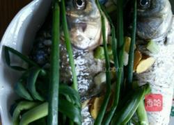 葱烤鲫鱼的做法图解1