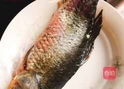 鲫鱼萝卜丝汤的做法图解1