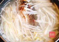 鲫鱼萝卜丝汤的做法图解5