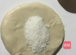 Coconut Sugar Shortbread Recipe Illustration 6