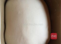 金枪鱼培根披萨的做法图解1