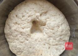 油滋啦大头菜包子的做法图解1