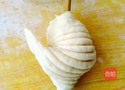 椒盐贝壳花卷的做法图解20