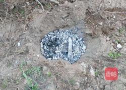 叫花鸡的做法图解7