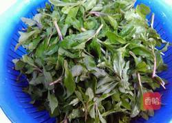 清炒枸杞头的做法图解1