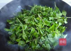 清炒枸杞头的做法图解2