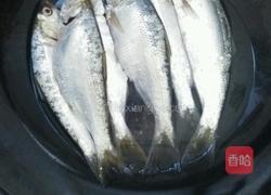 水煎干鱼的做法图解2