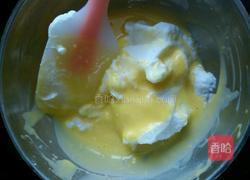 乳酪可可慕斯蛋糕的做法图解5