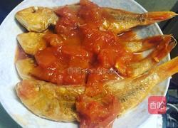 蕃茄煮红衫鱼的做法图解7