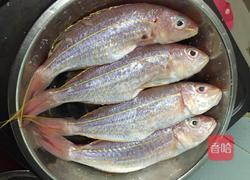 蕃茄煮红衫鱼的做法图解1