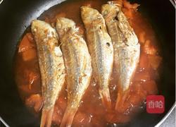 蕃茄煮红衫鱼的做法图解6