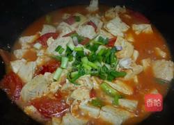 西红柿炖豆腐的做法图解4