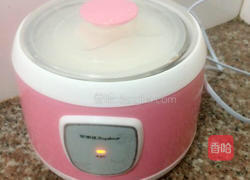 自制酸奶的做法图解6