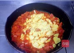 番茄炒蛋的做法图解8