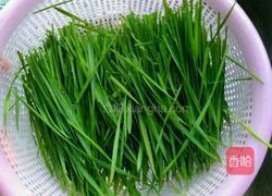 麦汁米糕的做法图解2