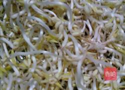 绿豆芽的做法图解9