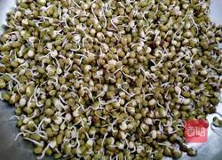 绿豆芽的做法图解6