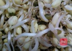 绿豆芽的做法图解8