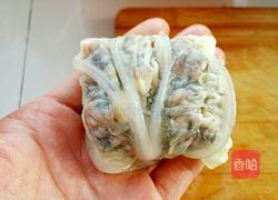 白菜包包（百财）的做法图解9