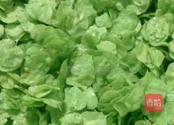 油炸榆钱儿的做法图解1