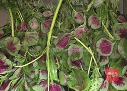 苋菜馅饺子的做法图解1