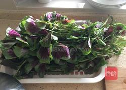 苋菜馅饺子的做法图解2