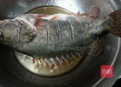 清蒸贵鱼的做法图解3